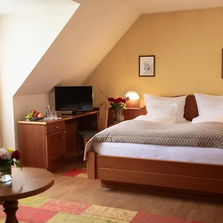 Hotel Moser *
