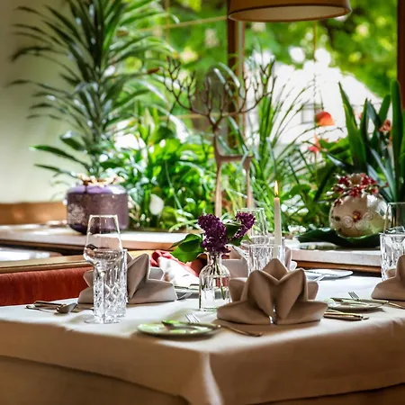 Moser Hotel *